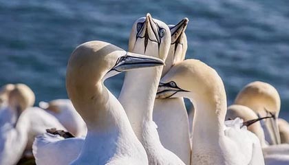 德宏最新公积金卡提取现金方法app方法分析(最方便真实的德宏公积金卡怎样从手机里取出来?方法)